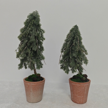 Distressed Terracotta Potted Drooping Frosted Pine Tree Decor