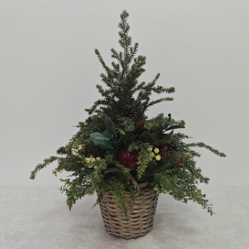 Natural Wicker Basket Pine & Red Apple Christmas Centerpiece