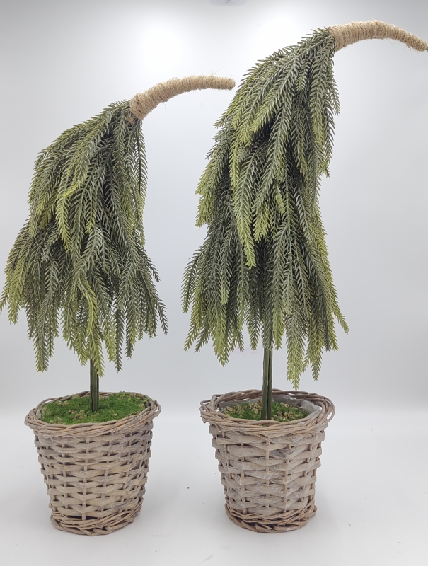 Bent Drooping Pine Tabletop Christmas Arrangement